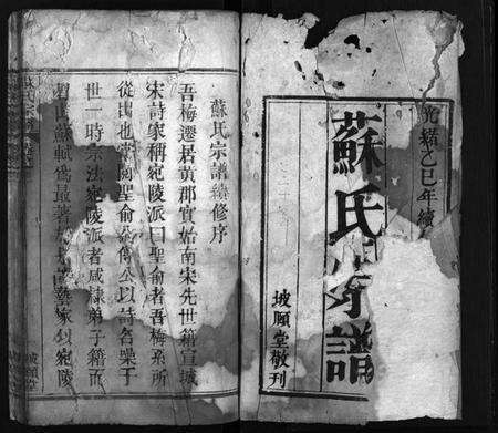 湖北苏氏族谱-苏氏宗谱 [8卷,首2卷](别名：Su Shi Zong Pu、苏氏宗谱).pdf电子版预览图3