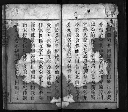 湖北苏氏族谱-苏氏宗谱 [8卷,首2卷](别名：Su Shi Zong Pu、苏氏宗谱).pdf电子版预览图4