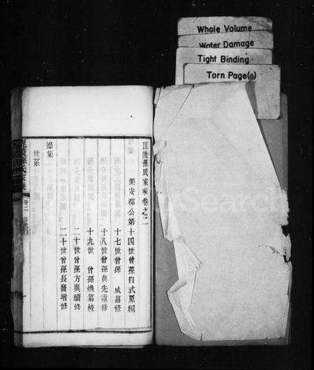 江苏孙氏族谱-毘陵孙氏家乘(别名：芳茂山人文集).pdf电子版预览图1