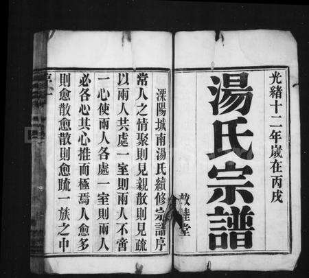 江苏汤氏族谱-汤氏宗谱 [8卷](别名：溧阳城南汤氏宗谱).pdf电子版预览图1