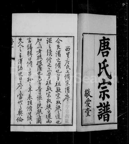 江苏唐氏族谱-前洲西里唐氏宗谱 [12卷](别名：唐氏宗谱).pdf电子版预览图4