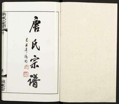 江苏唐氏族谱-唐氏宗谱 [8卷](别名：胡庄唐氏宗谱).pdf电子版预览图1