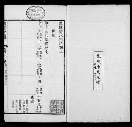 江苏唐氏族谱-毘陵唐氏宗谱 [9卷,首末各1卷](别名：唐氏宗谱).pdf电子版缩略图