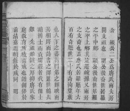 湖北唐氏族谱-唐氏四修宗谱 [6卷,首4卷](别名：唐氏宗谱、Tang Shi Si Xiu Zong Pu).pdf电子版预览图3