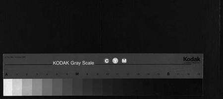 湖北唐氏族谱-唐氏宗谱 [12卷,卷1首](别名：Tang Shi Zong Pu).pdf电子版缩略图