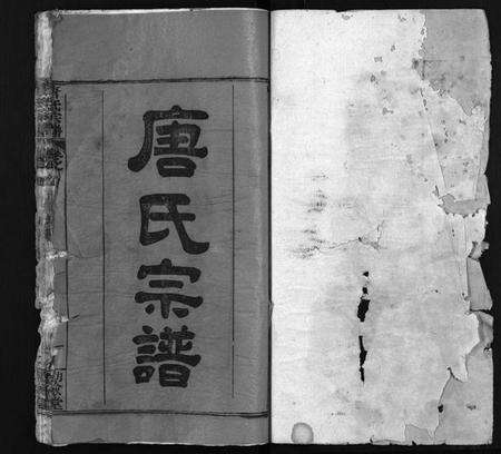 湖北唐氏族谱-唐氏宗谱 [12卷,卷1首](别名：Tang Shi Zong Pu).pdf电子版预览图2