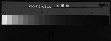 湖北唐氏族谱-唐氏宗谱 [4卷,首3卷](别名：唐氏族谱、Tang Shi Zong Pu).pdf电子版缩略图