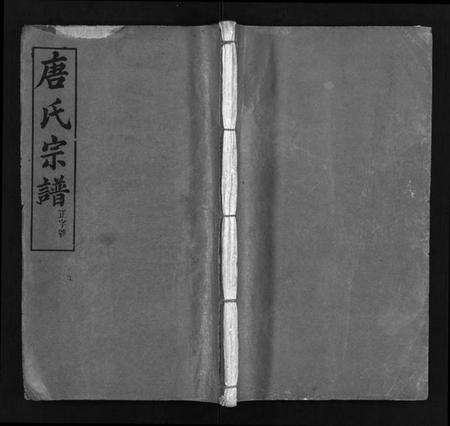 湖北唐氏族谱-唐氏宗谱 [4卷,首3卷](别名：唐氏族谱、Tang Shi Zong Pu).pdf电子版预览图1