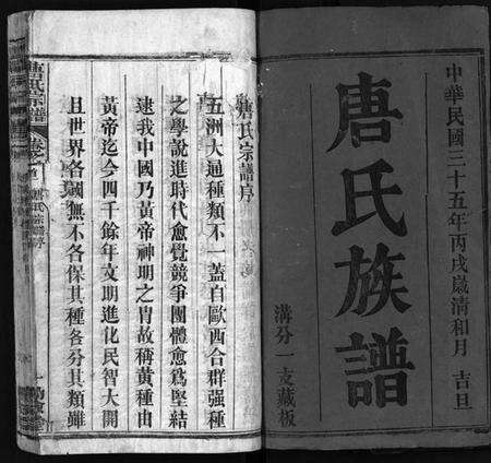 湖北唐氏族谱-唐氏宗谱 [4卷,首3卷](别名：唐氏族谱、Tang Shi Zong Pu).pdf电子版预览图2