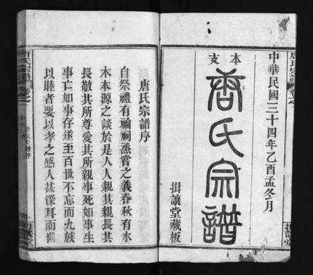 湖北唐氏族谱-唐氏宗谱 [残卷](别名：Tang Shi Zong Pu、唐氏宗谱).pdf电子版预览图2
