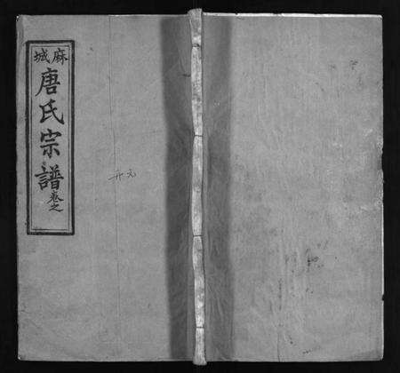 湖北唐氏族谱-麻城唐氏宗谱 [7卷,含首4卷](别名：Ma Cheng Tang Shi Zong Pu、唐氏宗谱、麻城唐氏宗谱).pdf电子版预览图1