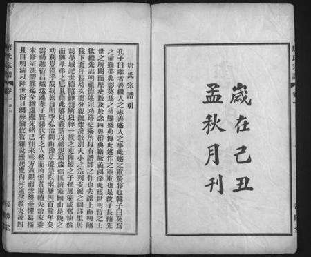 湖北唐氏族谱-唐氏宗谱 [6卷](别名：晋阳堂唐氏宗谱、Tang Shi Zong Pu).pdf电子版预览图2