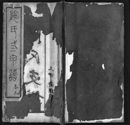 湖北陶氏族谱-陶氏三甲谱 [6卷,首1卷](别名：陶氏支谱、陶氏三甲支谱、Tao Shi San Jia Pu).pdf电子版预览图1