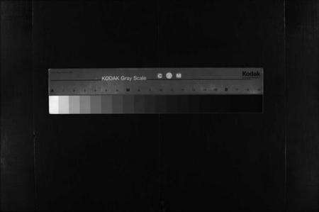 湖北陶氏族谱-陶氏宗谱 [24卷](别名：黄安陶氏宗谱、Tao Shi Zong Pu).pdf电子版缩略图