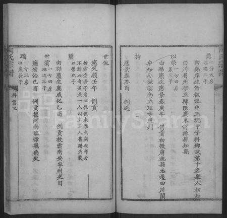 湖北陶氏族谱-陶氏宗谱 [不分卷](楚黄陶氏宗谱).pdf电子版预览图3