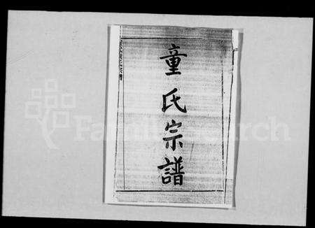 湖北童氏族谱-童氏宗谱 [28卷,首3卷](别名：黄武童氏宗谱).pdf电子版预览图1