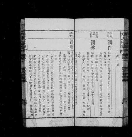 湖北汪氏族谱-汪氏宗谱 [9卷,首2卷](别名：汪氏族谱).pdf电子版预览图5