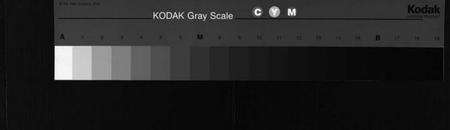 湖北汪氏族谱-汪氏宗谱[10卷,首2卷](别名：Wang Shi Zong Pu、冈邑汪氏宗谱).pdf电子版缩略图