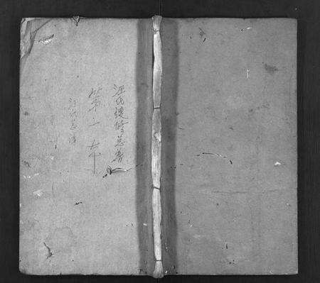 湖北汪氏族谱-汪氏宗谱 [16卷,含首1卷](别名：汪氏续修宗谱、汪氏族谱、Wang Shi Zong Pu).pdf电子版预览图1