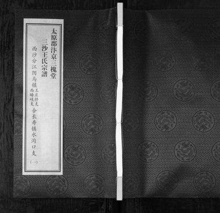 江苏王氏族谱-三沙王氏宗谱[2卷](别名：太原郡汴京三槐堂三沙王氏宗谱、San Sha Wang Shi Zong Pu).pdf电子版缩略图