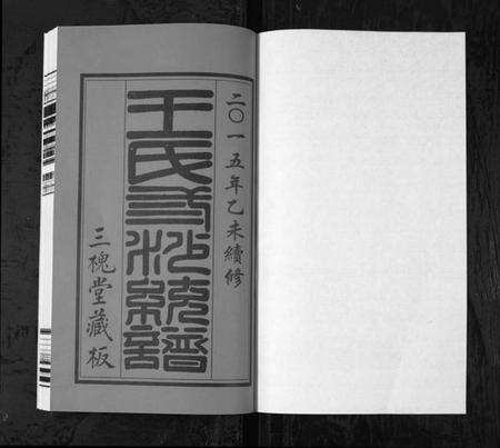 江苏王氏族谱-三沙王氏宗谱[2卷](别名：太原郡汴京三槐堂三沙王氏宗谱、San Sha Wang Shi Zong Pu).pdf电子版预览图1