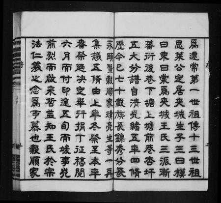 江苏王氏族谱-夹城王氏族谱 [8卷](别名：晋陵夹城王氏宗谱、晋陵夹城壬氏五修宗谱).pdf电子版预览图4