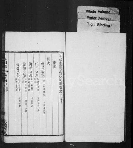 江苏王氏族谱-延政王氏宗谱 [14卷,首1卷](别名：王氏宗谱).pdf电子版预览图2