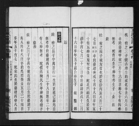 江苏王氏族谱-延政王氏宗谱 [14卷,首1卷](别名：王氏宗谱).pdf电子版预览图4