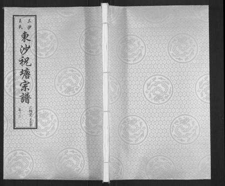 江苏王氏族谱-东沙祝塘王氏宗谱[33卷首1卷](别名：Dong Sha Zhu Tang Wang Shi Zong Pu、东沙筑塘王氏宗谱).pdf电子版缩略图