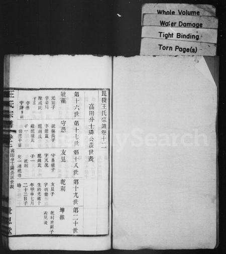 江苏王氏族谱-毘陵王氏宗谱(别名：王氏宗谱).pdf电子版预览图1