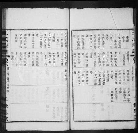 江苏王氏族谱-毘陵王氏宗谱(别名：王氏宗谱).pdf电子版预览图2