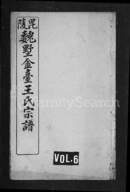 江苏王氏族谱-毘陵魏墅金台王氏宗谱 [残卷](别名：魏墅金台王氏宗谱).pdf电子版预览图1