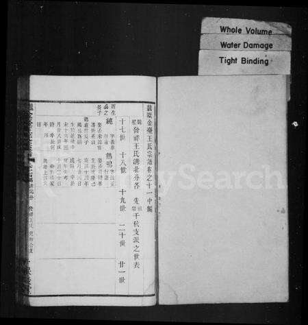 江苏王氏族谱-毘陵魏墅金台王氏宗谱 [残卷](别名：魏墅金台王氏宗谱).pdf电子版预览图2