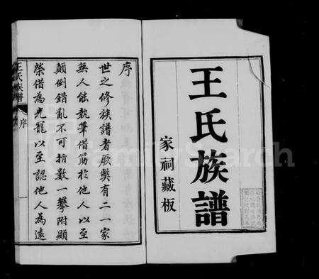 江苏王氏族谱-海安王氏族谱 [8卷](别名：王氏族谱).pdf电子版预览图4