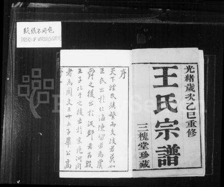 江苏王氏族谱-王氏宗谱 [10卷](别名：羌抠王氏宗谱).pdf电子版预览图2