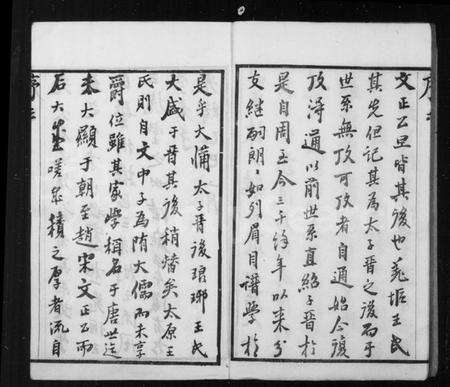 江苏王氏族谱-王氏宗谱 [10卷](别名：羌抠王氏宗谱).pdf电子版预览图5