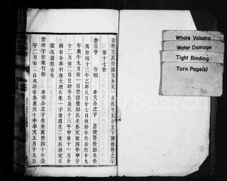 江苏王氏族谱-苦竹王氏宗谱 [残卷](王氏宗谱).pdf电子版预览图1