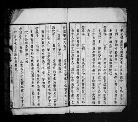 江苏王氏族谱-苦竹王氏宗谱 [残卷](王氏宗谱).pdf电子版预览图3