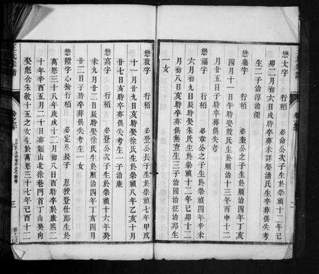 江苏王氏族谱-苦竹王氏宗谱 [残卷](王氏宗谱).pdf电子版预览图5