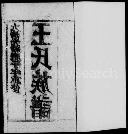 江苏王氏族谱-金沙王氏大成宗谱 [4卷](别名：王氏宗谱、王氏族谱).pdf电子版预览图4