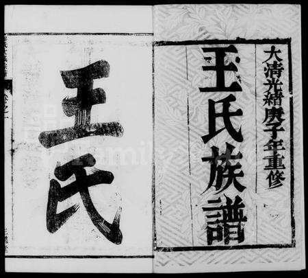 江苏王氏族谱-金沙王氏大成宗谱 [4卷](别名：王氏宗谱、王氏族谱).pdf电子版预览图5