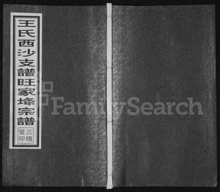 江苏王氏族谱-王氏西沙支谱旺家(土夅)宗谱 [不分卷](别名：旺家(土夅)王氏宗谱).pdf电子版缩略图