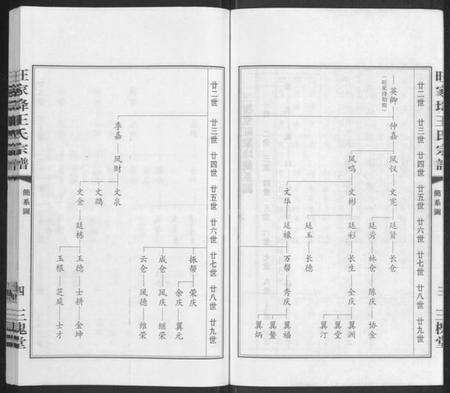 江苏王氏族谱-王氏西沙支谱旺家(土夅)宗谱 [不分卷](别名：旺家(土夅)王氏宗谱).pdf电子版预览图5