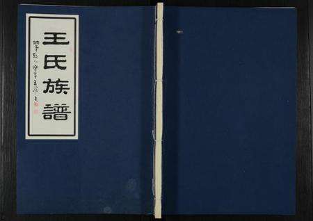 江苏王氏族谱-王氏族谱 [不分卷](别名：王氏族谱—三槐王氏).pdf电子版缩略图