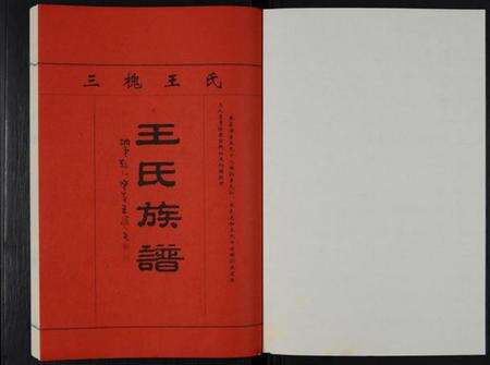 江苏王氏族谱-王氏族谱 [不分卷](别名：王氏族谱—三槐王氏).pdf电子版预览图1