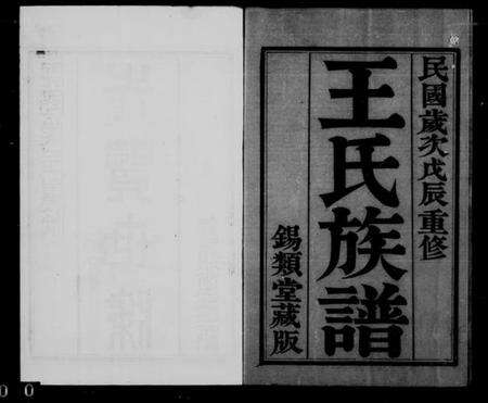 江苏王氏族谱-王氏族谱 [26卷, 首1卷](别名：岳阳王氏宗谱).pdf电子版缩略图