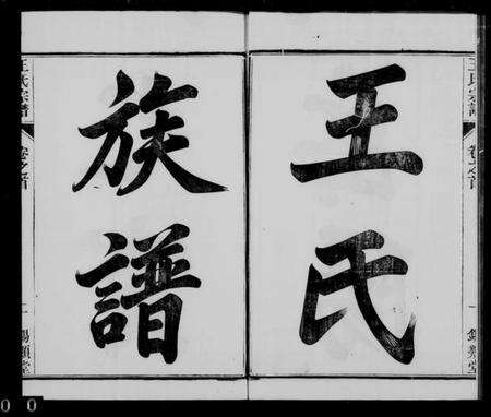 江苏王氏族谱-王氏族谱 [26卷, 首1卷](别名：岳阳王氏宗谱).pdf电子版预览图2