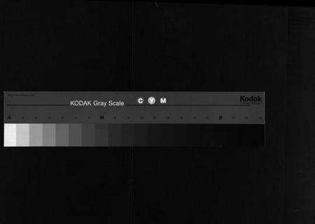 湖北王氏族谱-王氏族谱[21卷,首4卷](别名：Wong Shi Zu Pu、沙溪王氏族谱).pdf电子版缩略图