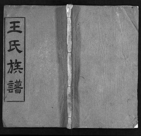 湖北王氏族谱-王氏族谱[21卷,首4卷](别名：Wong Shi Zu Pu、沙溪王氏族谱).pdf电子版预览图1