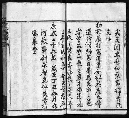 湖北王氏族谱-王氏族谱[21卷,首4卷](别名：Wong Shi Zu Pu、沙溪王氏族谱).pdf电子版预览图4